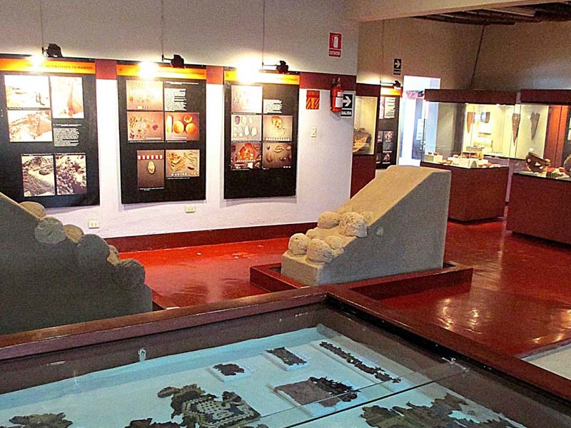 City Nazca Tour + Antonini Museum